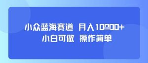 小众蓝海赛道，小白可做，操作简单，每天30分钟，月入1W+-一起网赚吧