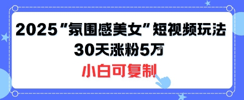 不露脸也能火！2025“氛围感美女”短视频玩法，30天涨粉5W小白可复制-一起网赚吧