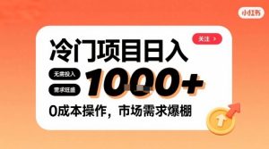 在小红书上发现个冷门路子，需求不小，零成本操作，每天能有1k进账-一起网赚吧