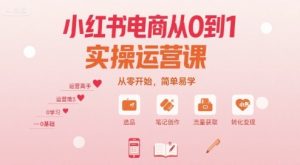 小红书电商从0到1实操运营课，从零开始，简单易学-一起网赚吧