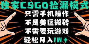 CSGO自动捡漏项目，最新独家玩法，不是美区搬砖，不需要了解和玩游戏，新手小白轻松月入1W+【揭秘】-一起网赚吧