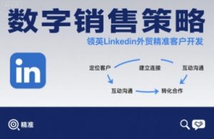 数字销售策略领英LinkedIn外贸精准客户开发-一起网赚吧
