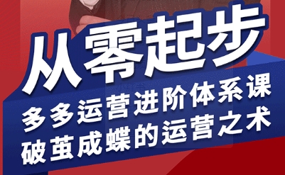 拼多多运营进阶系统课，从零起步，多多运营进阶体系课，破茧成蝶的运营之术-一起网赚吧