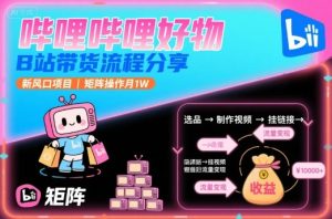 哔哩哔哩好物，B站带货流程分享，新风口项目，矩阵操作月1W-一起网赚吧