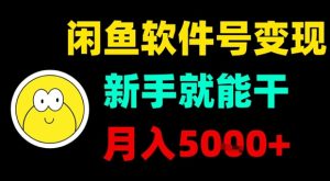 闲鱼软件号变现，新手就能干，月入5k+-一起网赚吧