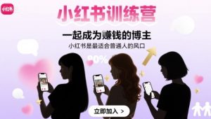 小红书训练营一起成为賺钱的博主，小红书是最适合普通人的风口-一起网赚吧