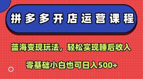 拼多多开店运营课程：蓝海变现玩法，轻松实现睡后收入，零基础小白也可日入5张-一起网赚吧