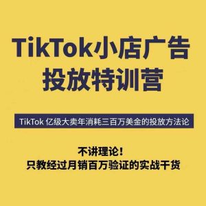 TikTok小店广告投放特训营，6天破局计划专治各种“投不动”，教你经过月销百万验证的实战干货-一起网赚吧