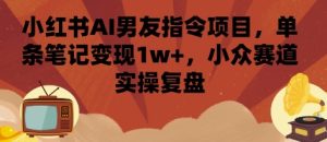 小红书AI男友指令项目,单条笔记变现1w+,小众赛道实操复盘-一起网赚吧