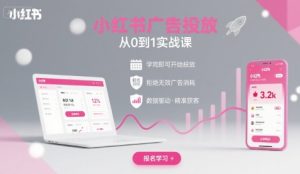 小红书广告投放从0到1的实战课，学完即可开始投放，拒绝无效广告消耗-一起网赚吧