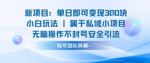 新项目单日即可变现3张的小白玩法无脑操作不封号安全引流-一起网赚吧