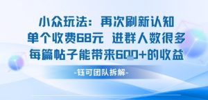 小众玩法再次刷新认知单个收费68米进群人数很多每篇帖子能带来6张的收益-一起网赚吧