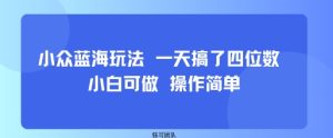 小众蓝海玩法 一天搞了四位数 小白可做 操作简单-一起网赚吧