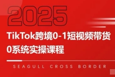 TikTok跨境0-1短视频带货，系统拆解TikTok跨境带货全链路，实现跨境可持续盈利-一起网赚吧