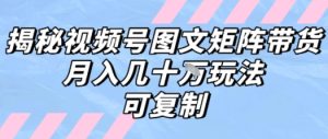 解密视频号图文矩阵带货,月入几个W的打法,可复制-一起网赚吧