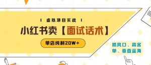 小红书虚拟项目掘金,卖面试话术资料,单店纯利20W+(附爆款笔记制作方法)-一起网赚吧