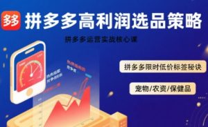 拼多多选品暴利技术实战课,拼多多高利润选品策略,拼多多限时低价标签秘诀-一起网赚吧