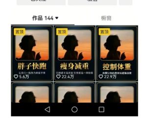 超高变现的短视频减肥细分赛道，减肥账号抖音实战训练营-一起网赚吧