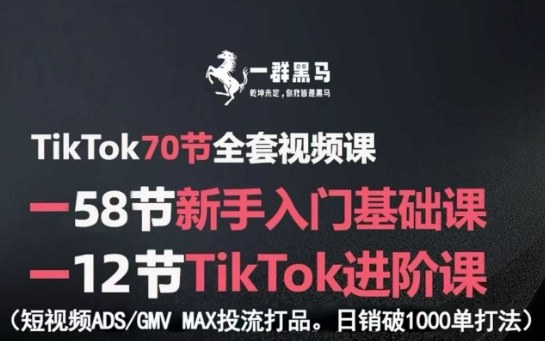 TikTok全套视频课，新手入门+进阶课，短视频ADS-GMV MAX投流打品，日销破1000单打法-一起网赚吧