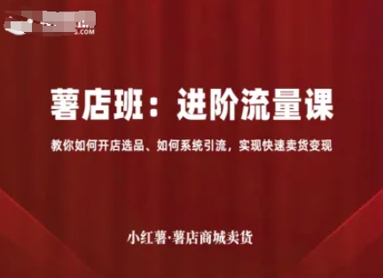 小红薯薯店商城卖货，进阶流量课，教你如何开店选品、如何系统引流，实现快速卖货变现-一起网赚吧