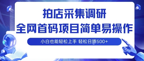 拍店采集调研，全网首码项目，简单易操作， 小白也能轻松上手，多账号操作，轻松日入5张【揭秘】-一起网赚吧