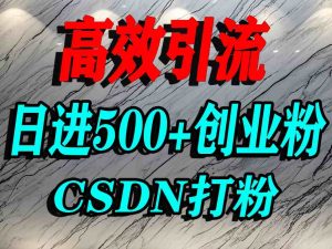 怎么打创业粉？CSDN又一个你不知道的打粉引流神秘平台，单人日引500+精准流量-一起网赚吧