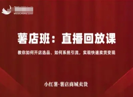 小红薯薯店商城卖货直播回放课，教你如何开店选品、如何系统引流，实现快速卖货变现-一起网赚吧