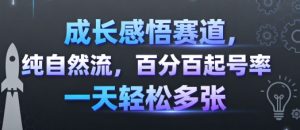 成长感悟赛道，纯自然流，百分百起号率 一天轻松多张-一起网赚吧