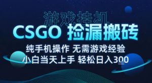 8月最新游戏搬砖，CSGO纯挂G，不需要玩游戏，实现真挂G，月入1W+【揭秘】-一起网赚吧