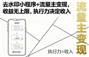 去水印小程序+流量主变现，收益无上限，执行力决定收入-一起网赚吧