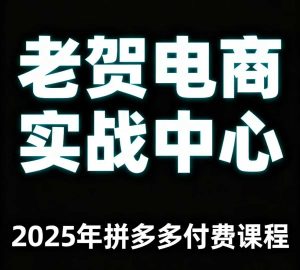 老贺电商2025年拼多多付费课程，用通俗易懂的方法告诉你多多怎么玩-一起网赚吧