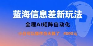 蓝海信息差新玩法，全程AI矩阵自动化小白可以操作当天搞了1k+-一起网赚吧