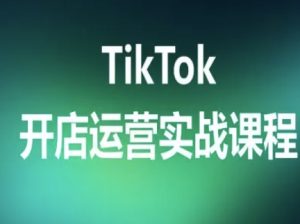 TikTok开店运营实战课程，TK跨境电商实操全流程-一起网赚吧