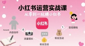 小红书运营实战课,从零到一玩賺小红书-一起网赚吧
