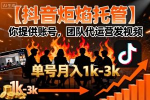 【抖音炬焰托管】你提供账号，团队代运营发视频，单号月入1k+【揭秘】-一起网赚吧