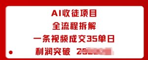 AI收徒项目全流程拆解一条视频成交35单日利润突破1k+-一起网赚吧