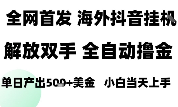海外抖音无人直播，单日产出1.5k+，长期稳定，新手可玩，无脑操作【揭秘】-一起网赚吧