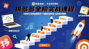 拼多多全阶实战课程，从新手小白到运营高手，海量实战玩法+全年实时更新【2025年9月更新】-一起网赚吧