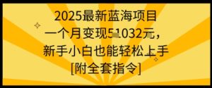 2025最新蓝海项目一个月变现1w+新手小白也能轻松上手【附全套指令】-一起网赚吧