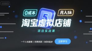 淘宝虚拟店铺项目实战课，一个人也能做，无需货源、0成本起步，月入5k-一起网赚吧