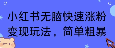 小红书无脑快速涨粉变现玩法，简单粗暴-一起网赚吧