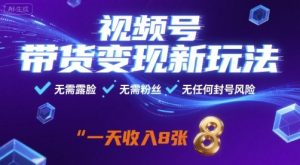 视频号带货变现新玩法，无需露脸，无需粉丝，无任何封号风险，一天收益8张【揭秘】-一起网赚吧