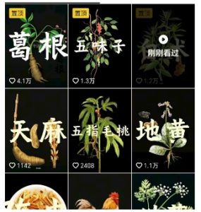 抖音中草药赛道,用AI做中草药故事视频,45条作品涨粉13W,橱窗带货猛猛出单-一起网赚吧
