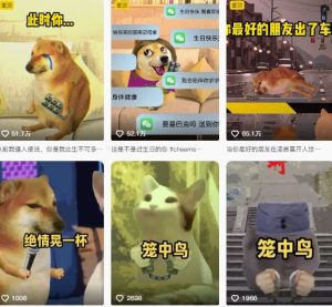 狗头幸运星UE5动画全套课程,从入门到实操全掌握-一起网赚吧