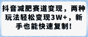 抖音减肥赛道变现，两种玩法轻松变现3W+，新手也能快速复制-一起网赚吧