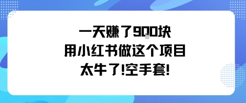 一天挣了9张用小红书做这个项目太牛了，空手套-一起网赚吧