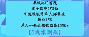 私域冷门赛道:单个收费198米引流模板简单人群精准转化45%单人一天大概收益是1k+-一起网赚吧