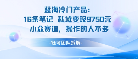 蓝海项目：16条笔记私域变现9750米小众赛道操作的人不多-一起网赚吧