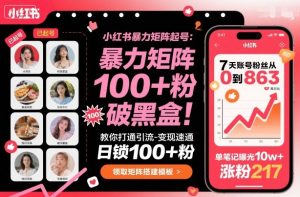 小红书暴力矩阵起号，教你打通引流-变现速通，日锁100+粉，破流量黑盒-一起网赚吧
