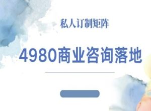 4980商业咨询师落地课程-ip运营高客单教程-一起网赚吧